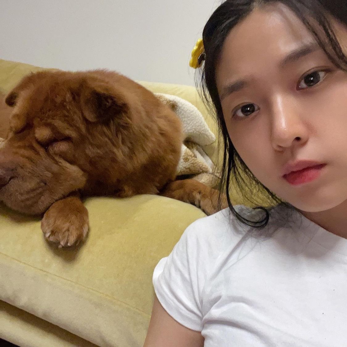 KimSeolhyunBR's tweet photo. 📸 | 02.12.21 — Dungchee via IG Post.

"🥰"

📎: https://t.co/RVw73AwLod

#SEOLHYUN #설현 #AOA #에이오에이 https://t.co/s5m6ODIf41