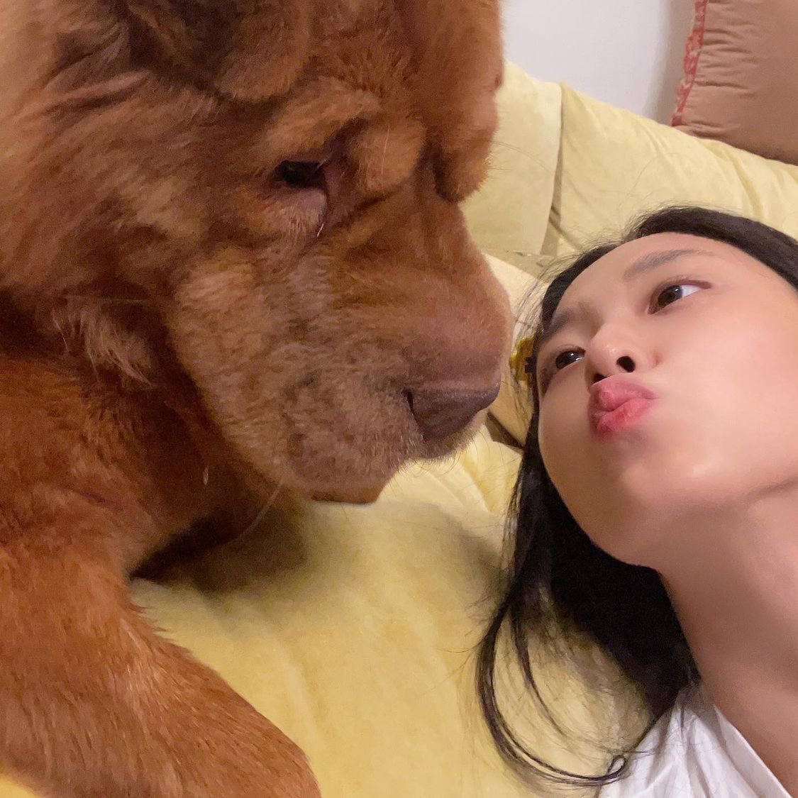 KimSeolhyunBR's tweet photo. 📸 | 02.12.21 — Dungchee via IG Post.

"🥰"

📎: https://t.co/RVw73AwLod

#SEOLHYUN #설현 #AOA #에이오에이 https://t.co/s5m6ODIf41
