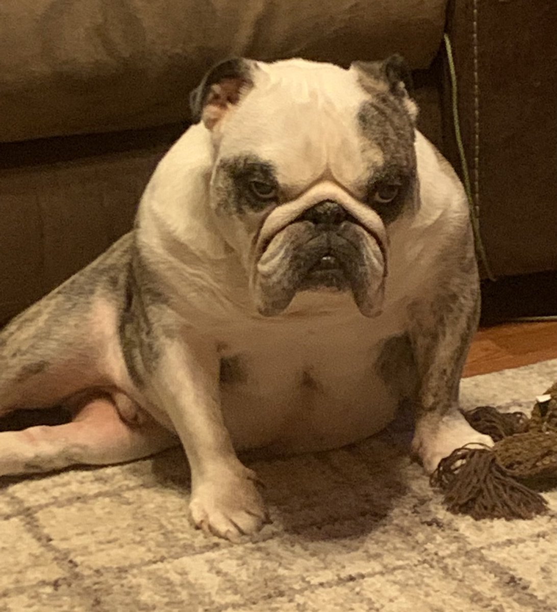 Sarah Lowe tweet media