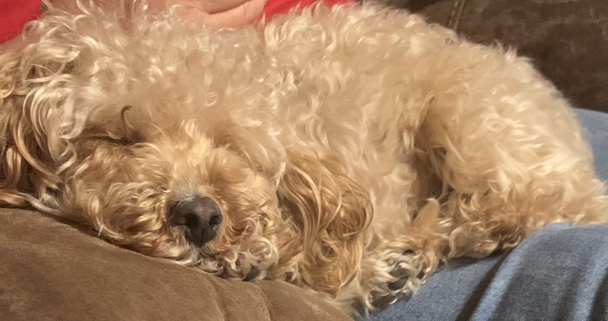 Sarah Lowe tweet media