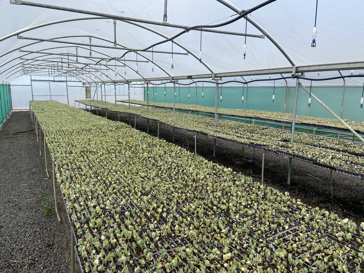 AdrianEngle1's tweet photo. This week I visited Goulburn and Murray Valley growers and representatives from the Summerfruit, Processing Tomato, Apple and Pear, Avocado, Turf and Nursery industries. Discussions included the DRAFT Hort Innovaton South East regional extension plan. @Hort_Au https://t.co/75AwJd3RCQ