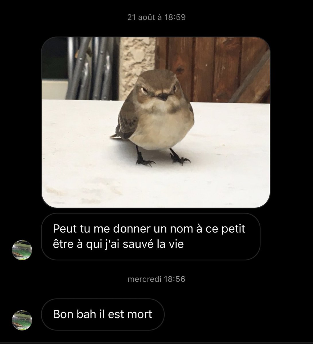 terracid's tweet photo. je suis désolé mais je suis explosé de rire https://t.co/ArRcbCX0VC