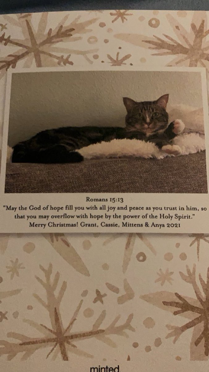 Djr0te's tweet photo. @cassie_cecil @bernie14garces @steffiloe21 Look who received his Christmas card today! I just find it ironic that the demon cat Mittens 🐱 was paired with a Bible verse. (Just my opinion) I mean look at that face! 😈 https://t.co/wHJ9jXwMk7
