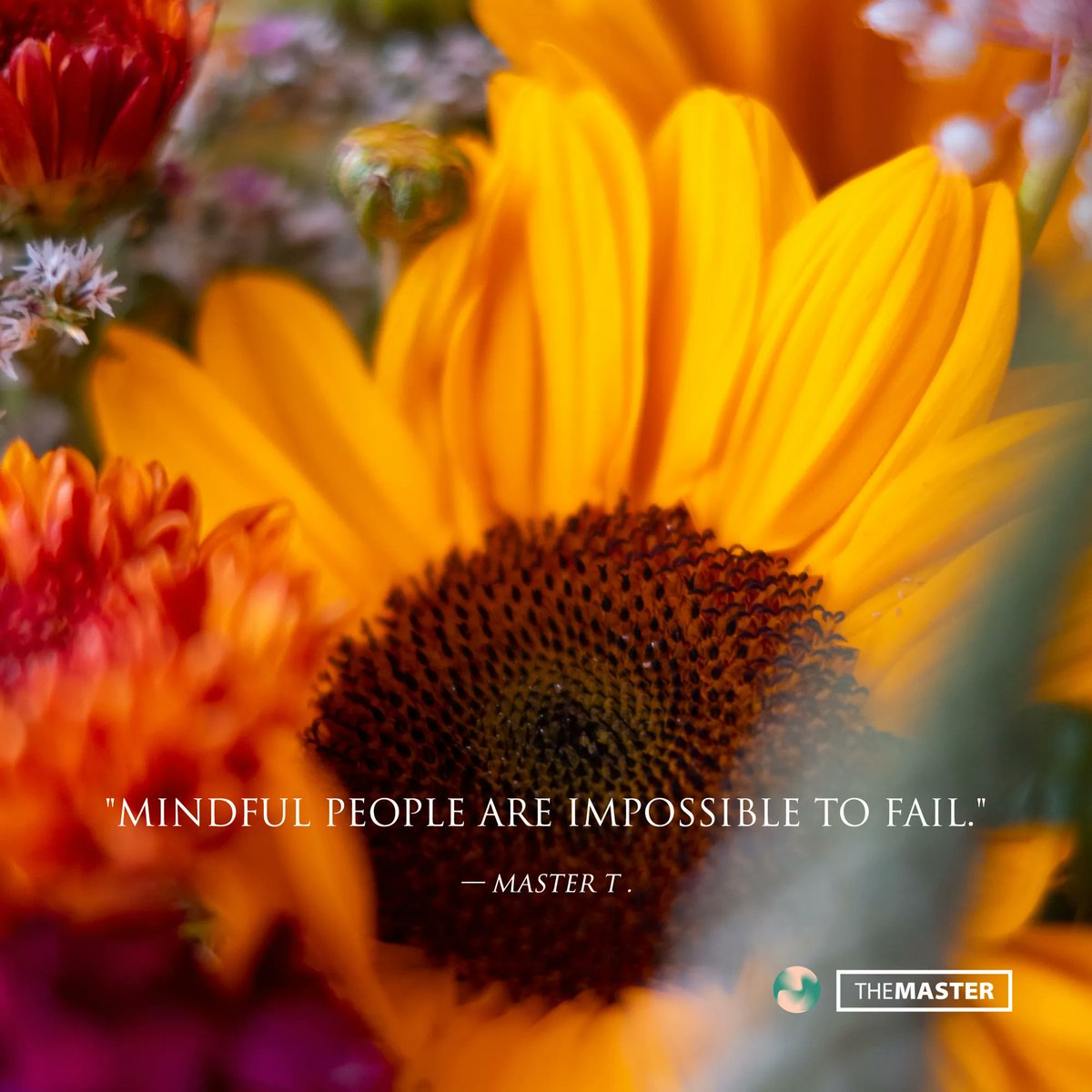 TheMaster_MRP's tweet photo. "Mindful people are impossible to fail."

#MasterT #MasterT_Quotes #TheMaster
•
•
Go together with #MRP: https://t.co/vWPrUS5JpV https://t.co/P0sEc8l3UG https://t.co/TWFkG5jl2Y
