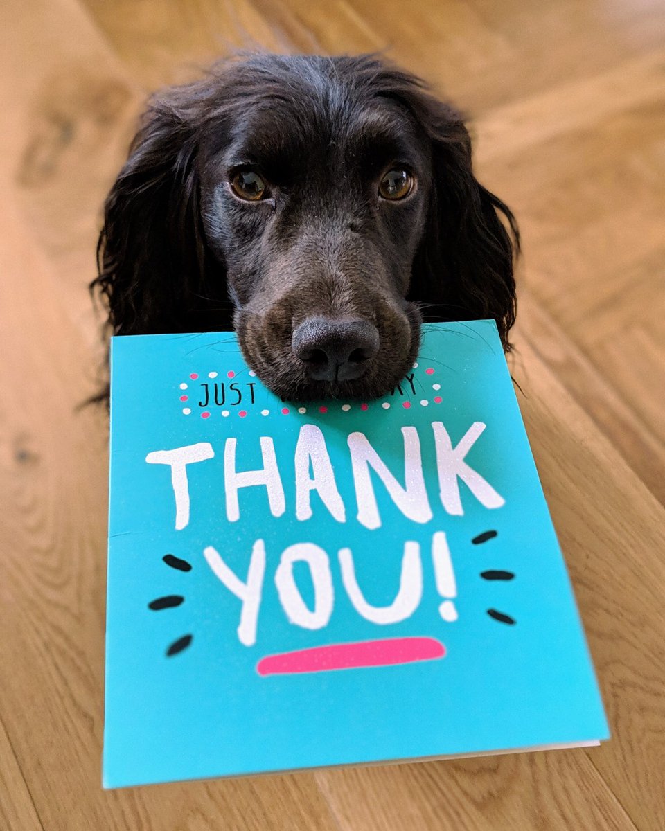 UnitedWayNCNM's tweet photo. On #GivingTuesday, @PNMtalk announced their support of local nonprofits.  This $40,000 gift from the PNM Resources Foundation will help DEI United collect data (and track giving trends) to better serve our nonprofit grantees.

Thank You for your continued support! https://t.co/SkR3cflD2i