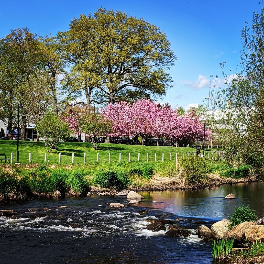 75Tresser's tweet photo. Whether or not there's an event going on at Mill River Park, we think the scenery is worth the short trip!
.
.
.
📸: @millriverpark
#stamfordpark #stamfordliving #75tresser https://t.co/lizmqqALYp
