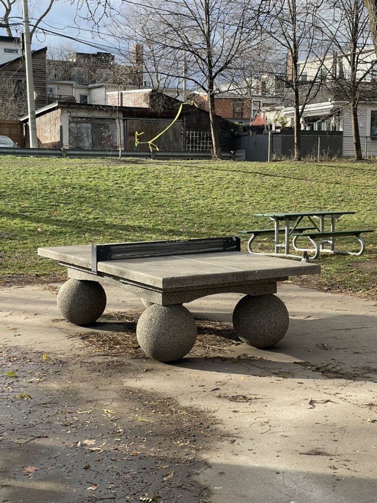 ₍˄·͈༝·͈˄*₎◞ ̑̑ tweet media