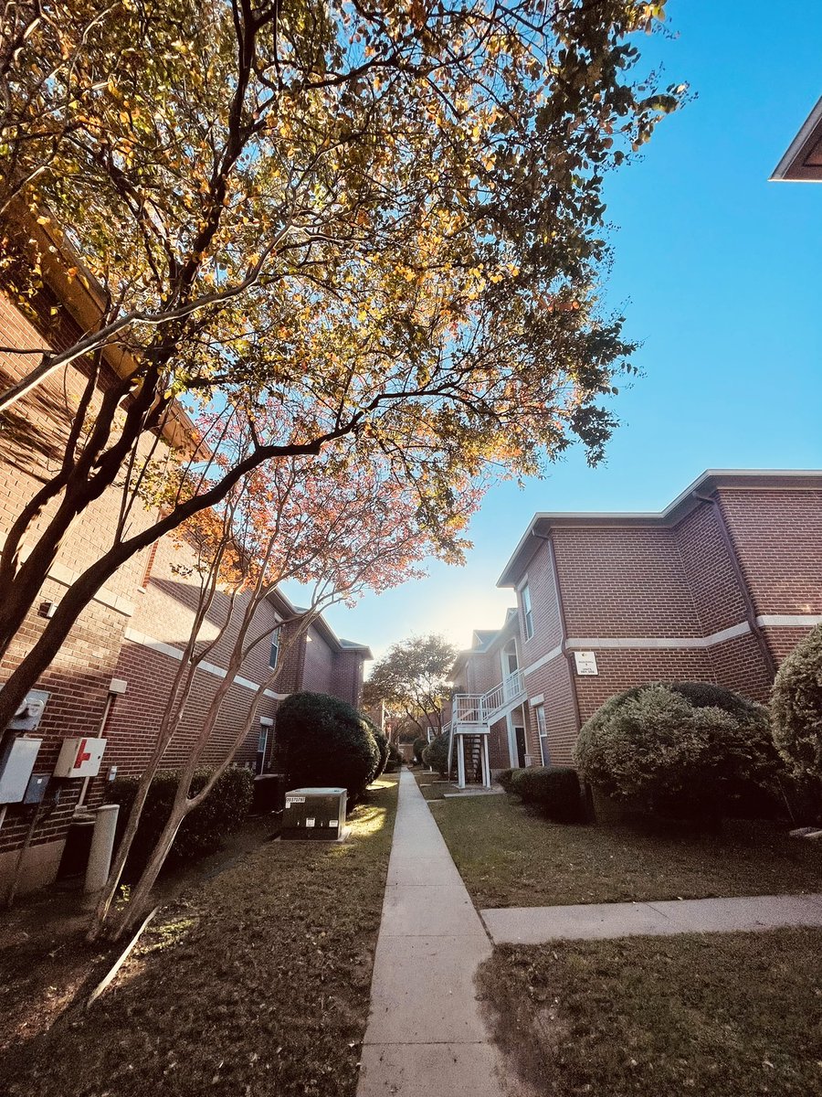 4cheCreates's tweet image. ｓｅａｓｏｎｓ🍃🍁🍂