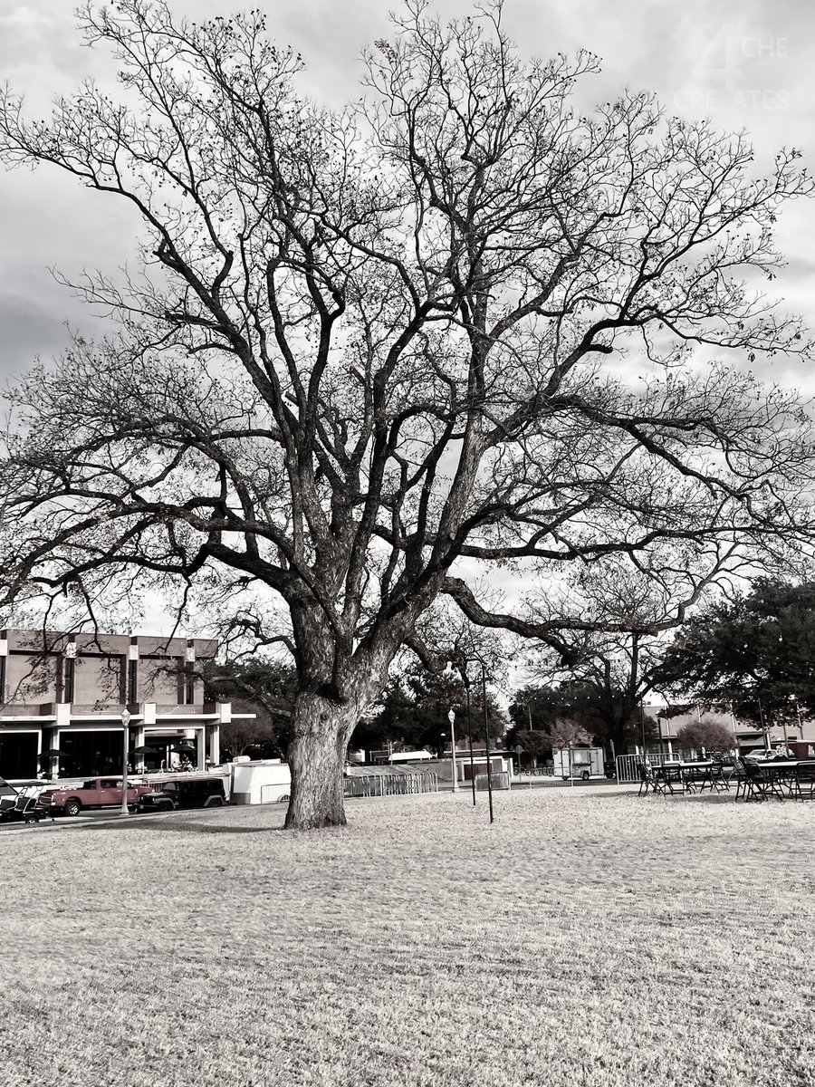 4cheCreates's tweet image. ｓｅａｓｏｎｓ🍃🍁🍂