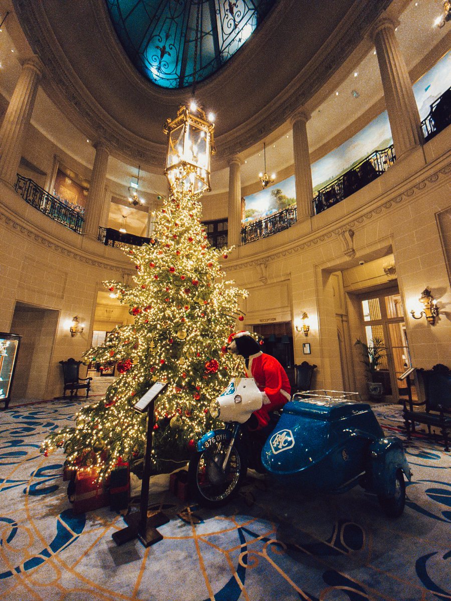 Dan Bathie tweet media