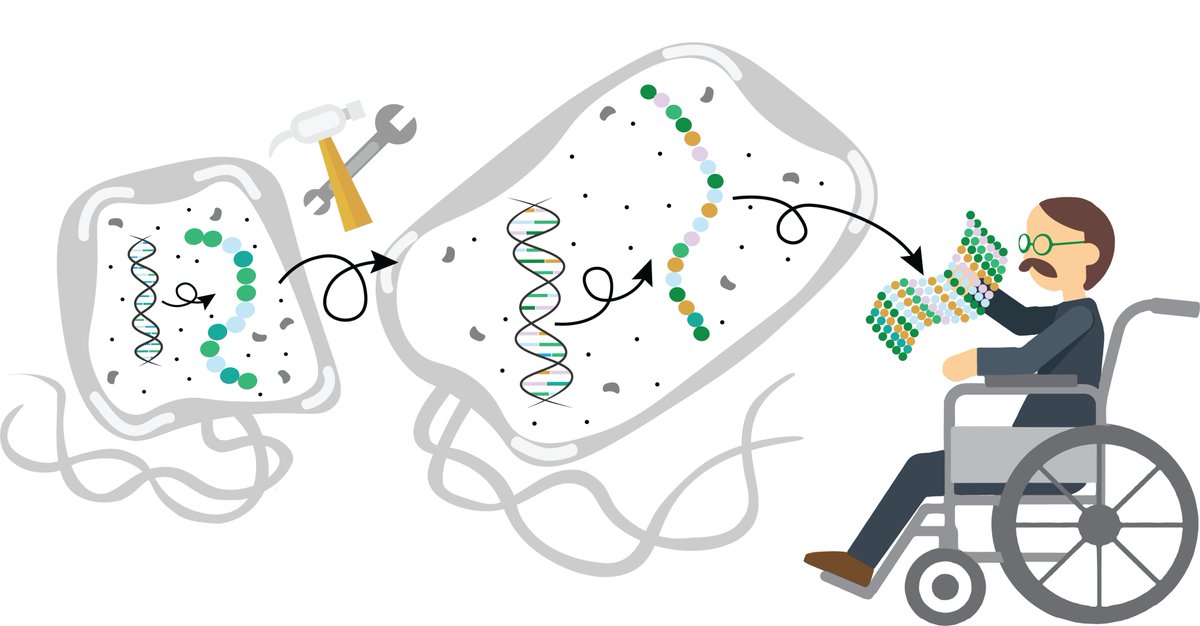 BerkeleySciRev's tweet photo. A new contender in genetic code expansion has appeared! See how @schepartzlab used V. natriegens, a fast growing bacteria, to incorporate non-canonical amino acids in proteins. #Issue41 #labscope

Author: Héctor @alphahelical 
Designs: @kristina_vboyko 
https://t.co/cLdBmAWnxw https://t.co/WPLXPhhkBn