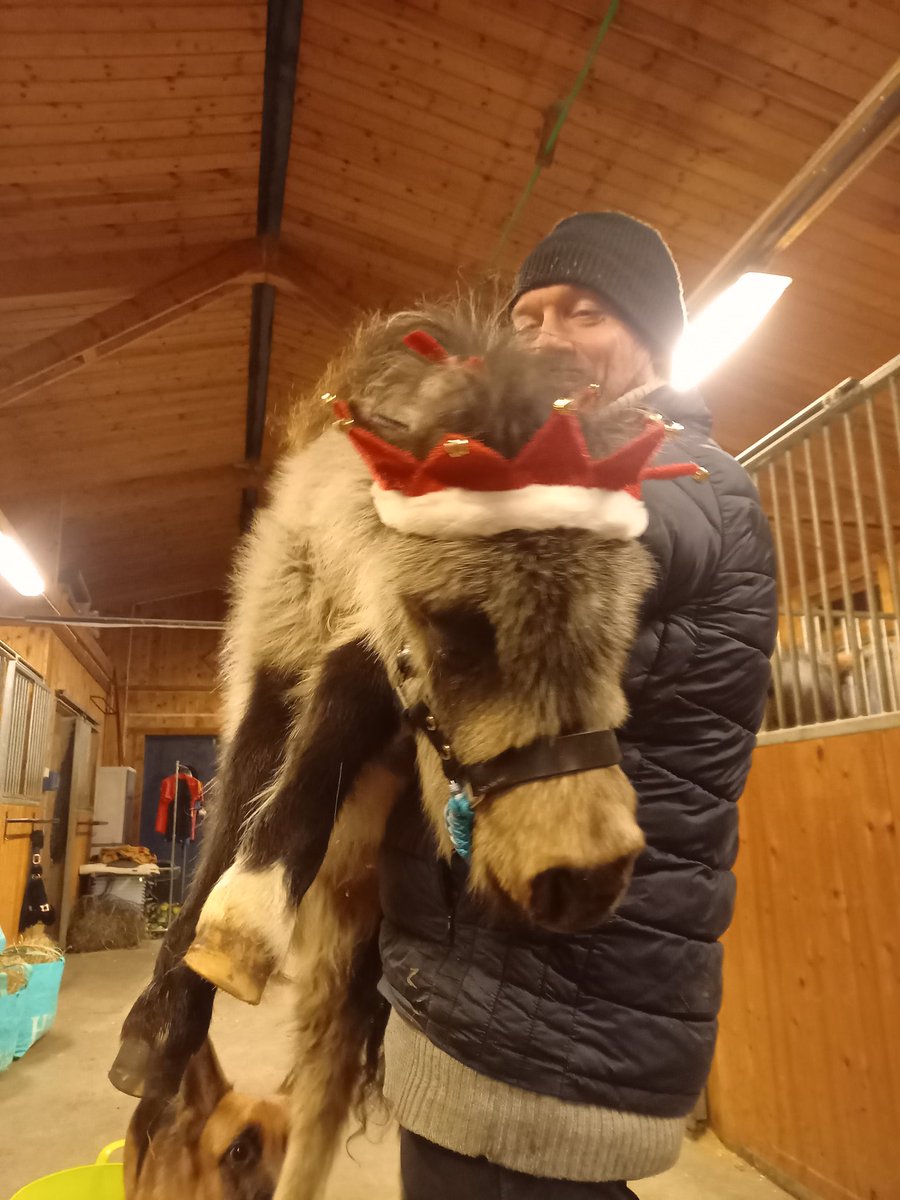 Lisbeth Bacon (@baconlisbeth) on Twitter photo 