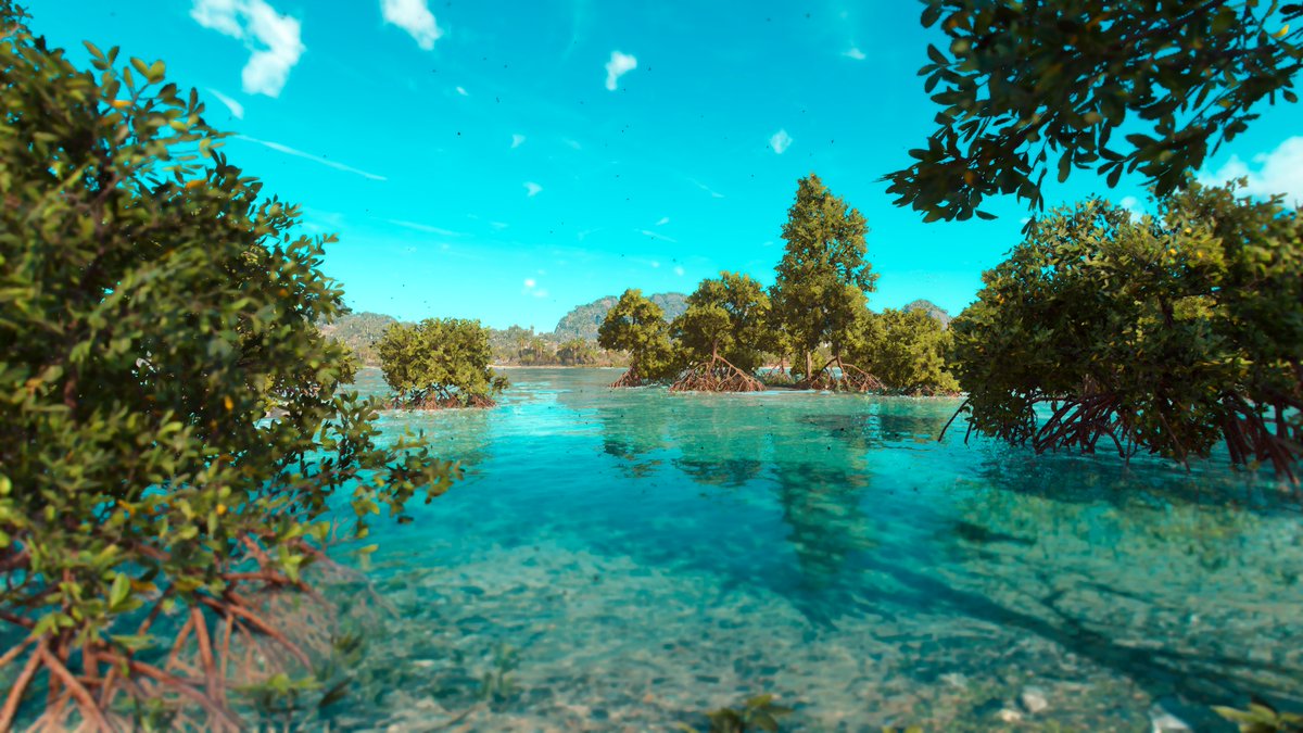 Mongaikann's tweet photo. Tropical paradise

#FarCry6  #FarCry #Ubisoft #PhotoMode #VirtualPhotography #GamerGram #vpgamers #VPCONTEXT #WorldofVP #VGPUnite https://t.co/ULfDVUaw0p