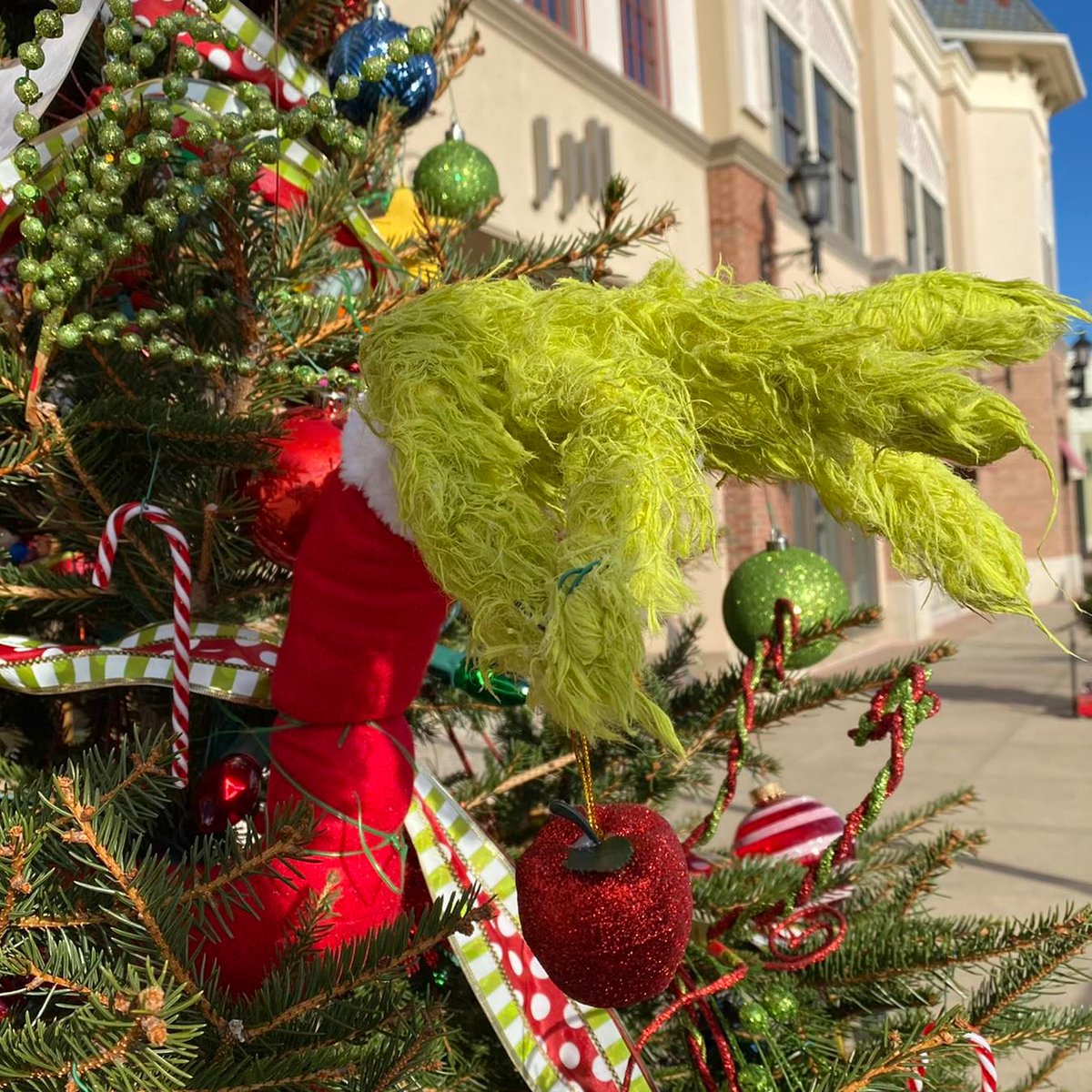 LevisCommons's tweet photo. #AssetProtectionCorporation understood the assignment
#GlobalVillage #AdoptATree #LevisCommons #holidayseason #familyfriendly #celebrate #kindness #celebratedifferences https://t.co/2pxhwispqZ