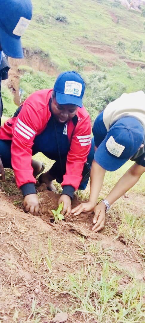 saemaperdc's tweet image. #RDC #SUDKIVU: Lancement officiel du reboisement au site minier de #Luhihi en territoire de #KABARE. #protégions_environnement 
@Mines_RDC 
   @SaemapeR
      @CongoMines 
        @GouvSudkivu 
      @actualitecd 
   @JagmAdeseny 
@Evebazaiba @JKanyoni @SaveCongoForest @IccnRdc