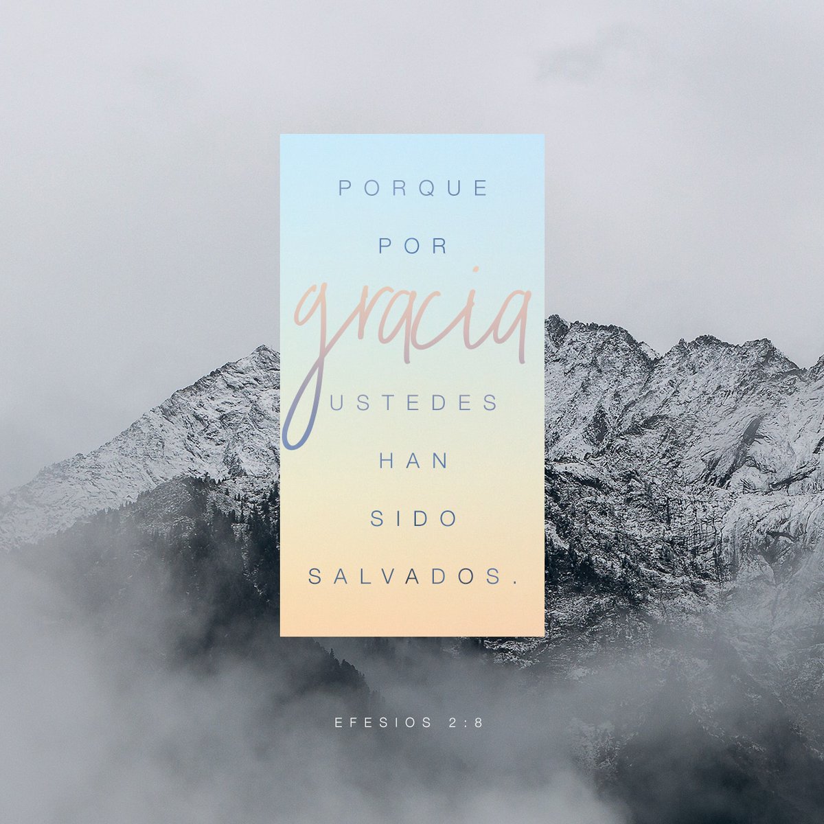 sergiobh55's tweet photo. Porque por gracia sois salvos por medio de la fe; y esto no de vosotros, pues es don de Dios; no por obras, para que nadie se gloríe.
Efesios 2:8-9 RVR1960

https://t.co/RvuhDIL7FF https://t.co/rAEWxjmwpM