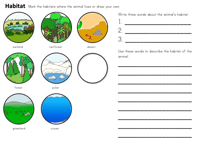 Carolyn Vibbert tweet media