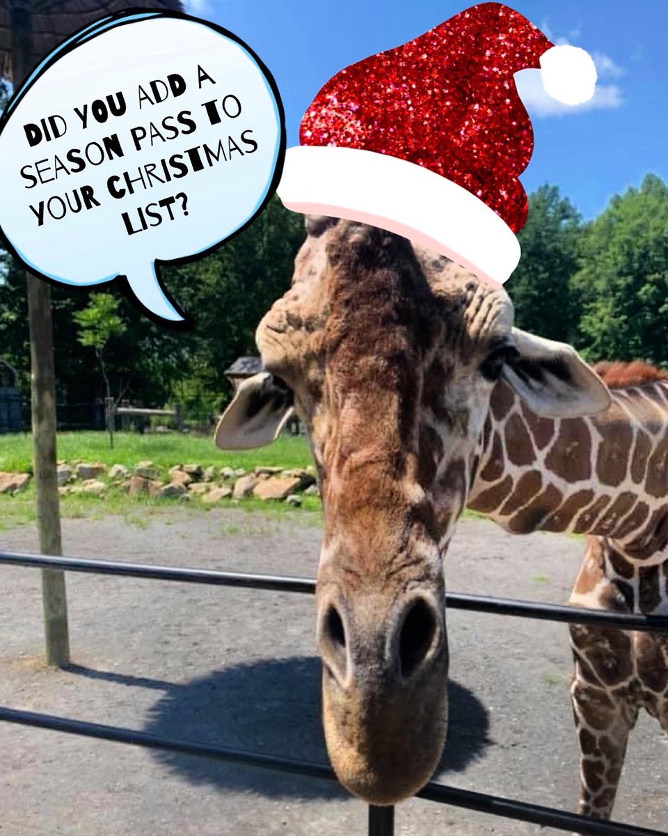 VisitMercerCoPA's tweet photo. @keystonesafari1 #Christmas2021 https://t.co/hqzVA6Mgyt