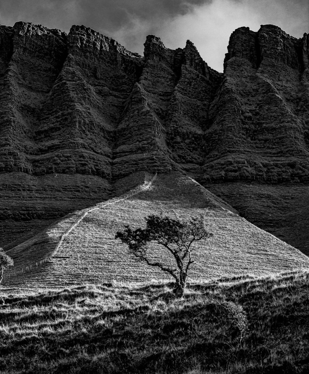 EdSligo's tweet photo. So grateful to the client who purchased a 5ft canvas of this image in my shop today! You know who you are, muchas gracias amiga! 💚😍👍 https://t.co/ml8BjqaSsn