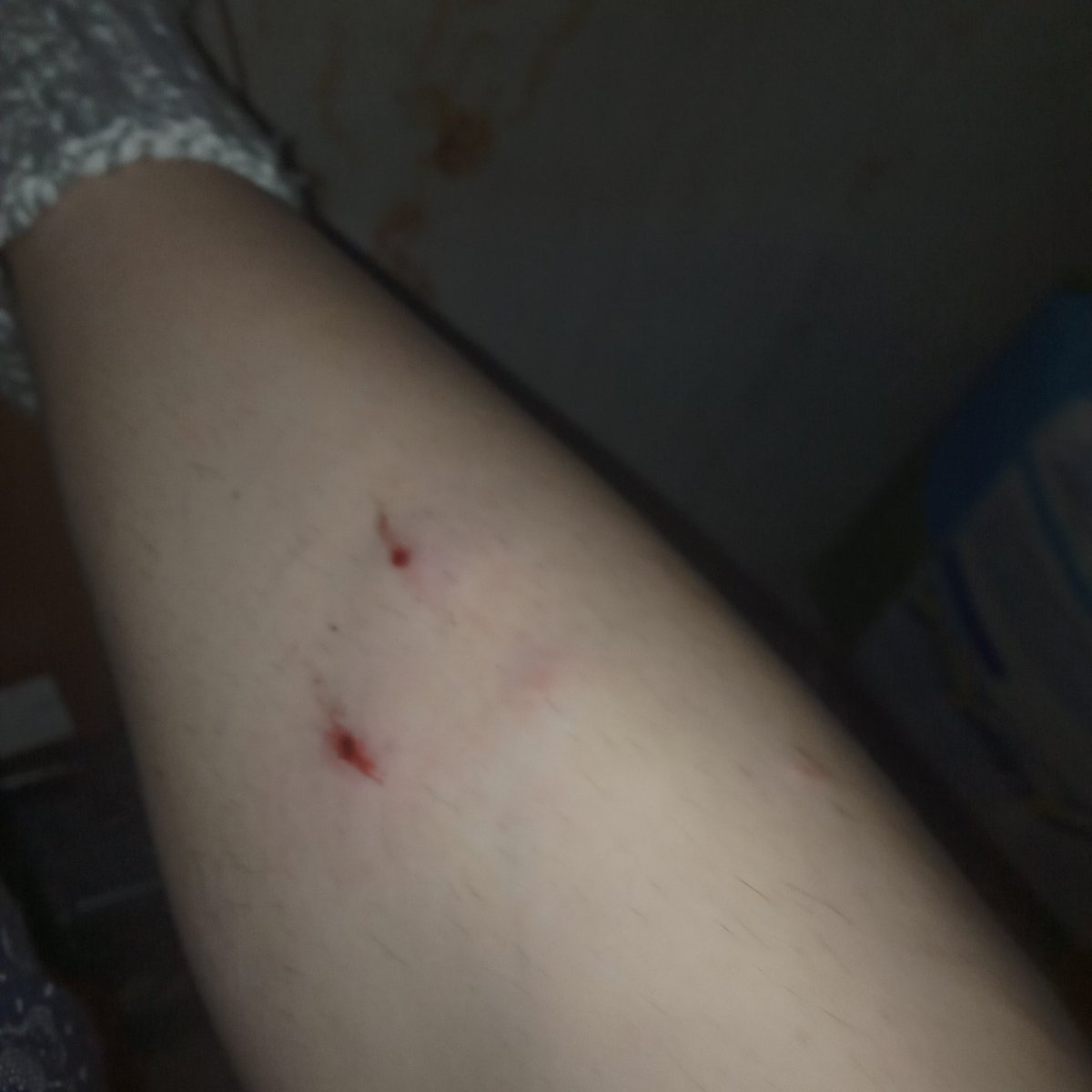 pdepressi's tweet photo. круть https://t.co/y1nQ7UW98y