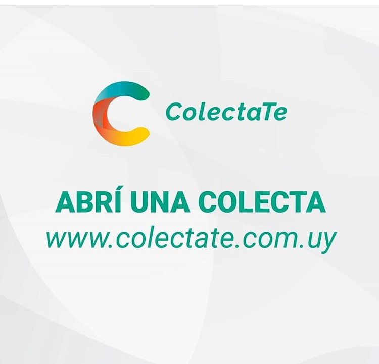 ColectaTe tweet media
