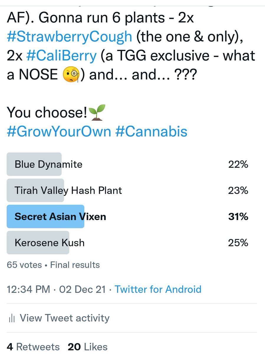 TempleGrower's tweet photo. Oh SHIT. The people have spoken. S.A.V. it is.π€©. I would have been stoked with any of them but now I'm REALLY stoked. They'll be hitting the water in about an hour from now! I am excite! π±
https://t.co/71v5wE9Dl0
#GrowYourOwn #Cannabis #MicroGrow https://t.co/4TqdEAGtI6