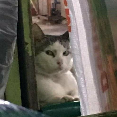 แล้วจะค้อนเพื่อ