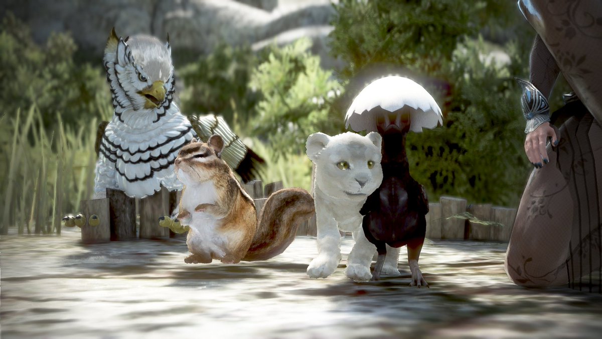 BrillitteCH's tweet photo. #BlackDesertOnline
#videogames
#BDOScreenshot
#BDOSELFIES
#BdO
#justaregulargamer
#virtualphotography
#Gaming
#Blackdesertmemories
#BlackDesertcharacter
#Gamer
#Pearlabyss
#HiPearlAbyss
#Xbox #Ps4
#BDOpets
@PlayBlackDesert
@BDO_News
@NewsBlackDesert
📸Kuku hatch🐣 https://t.co/iw0i9TxgFe