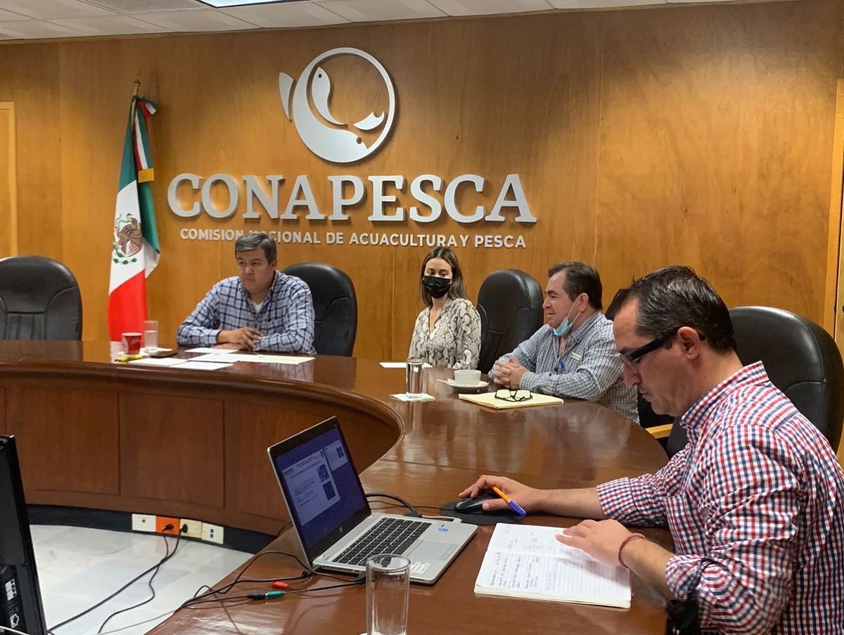 OctavioAlmada1's tweet photo. Buenas tardes.

Me encuentro en reunión con el equipo de Bienpesca, como cada semana, en seguimiento a los avances y resultados del Programa. 

#BuscandoElComoSí https://t.co/fUaOxj6xul