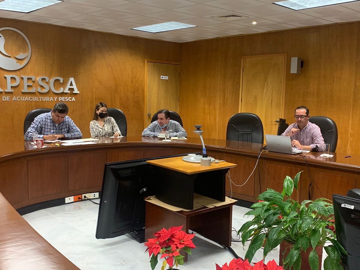 OctavioAlmada1's tweet photo. Buenas tardes.

Me encuentro en reunión con el equipo de Bienpesca, como cada semana, en seguimiento a los avances y resultados del Programa. 

#BuscandoElComoSí https://t.co/fUaOxj6xul