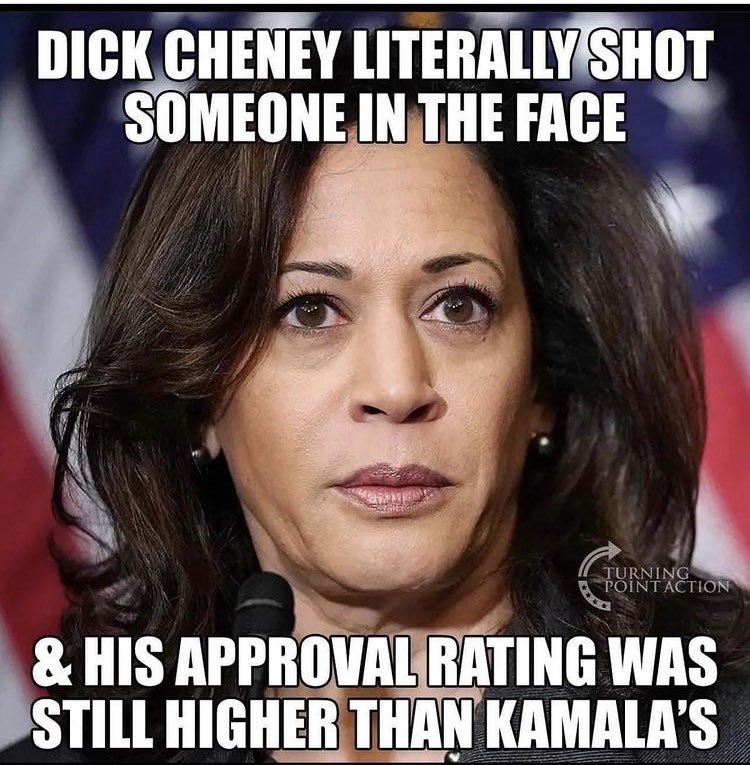 llhansen8's tweet image. #shesucks