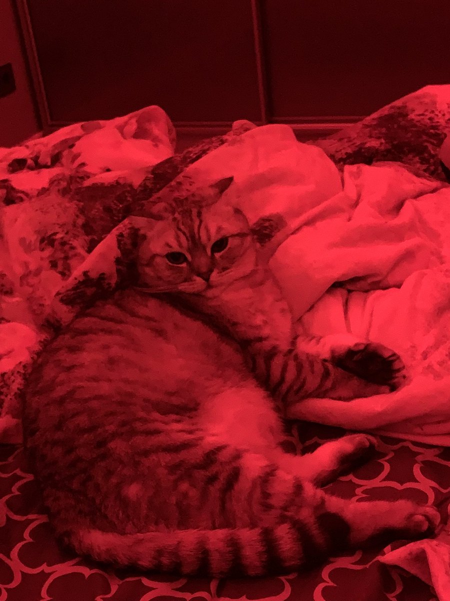 Пронзительный взгляд