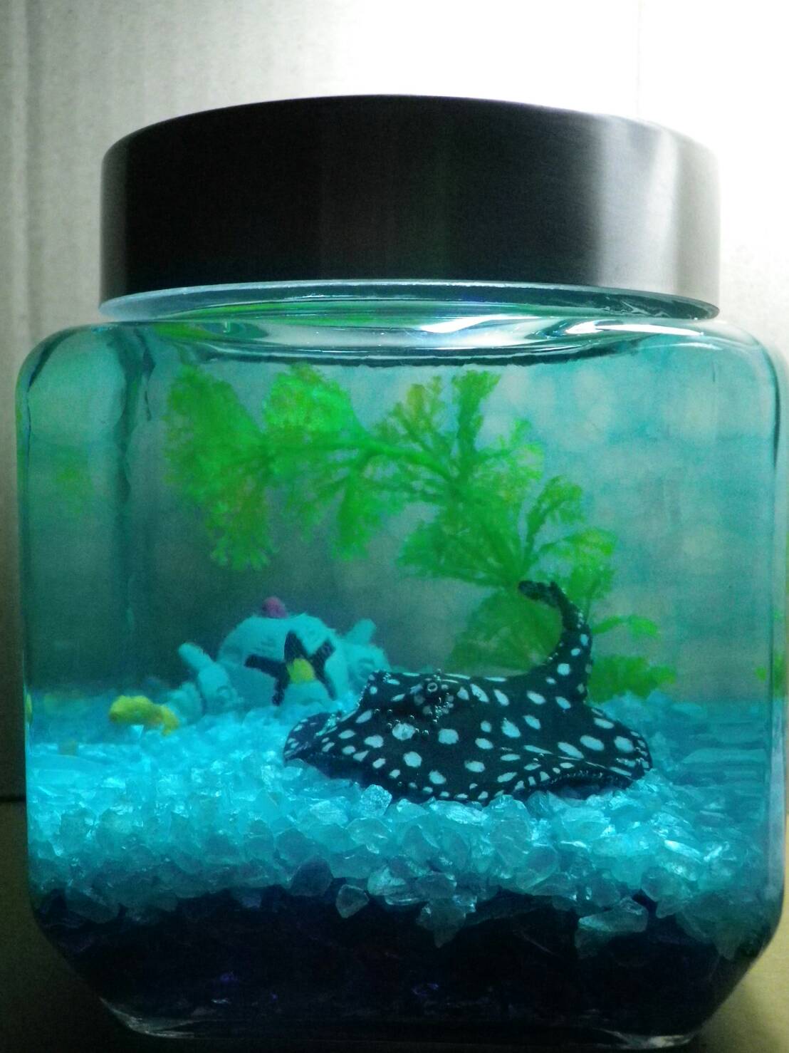 Ribbon Spread 消臭ビーズジオラマ アクアリウム 作ってみた2 今度は草を入れてみた ジオラマ 水中ジオラマ 消臭ビーズジオラマ 消臭ビーズで遊んでみました アクアリウム 消臭ビーズアクアリウム 消臭ビーズ ゾック Msm10 100均 Ribbon Spread 消臭ビーズジオラマ アクアリウム 作ってみた2 今度は草を入れてみた ジオラマ 水中ジオラマ 消臭ビーズジオラマ 消臭ビーズで遊んでみました アクアリウム 消臭ビーズアクアリウム 消臭ビーズ ゾック Msm10 100均