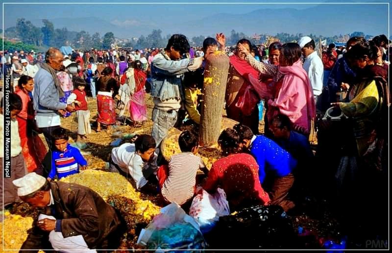 Photo Museum Nepal tweet media