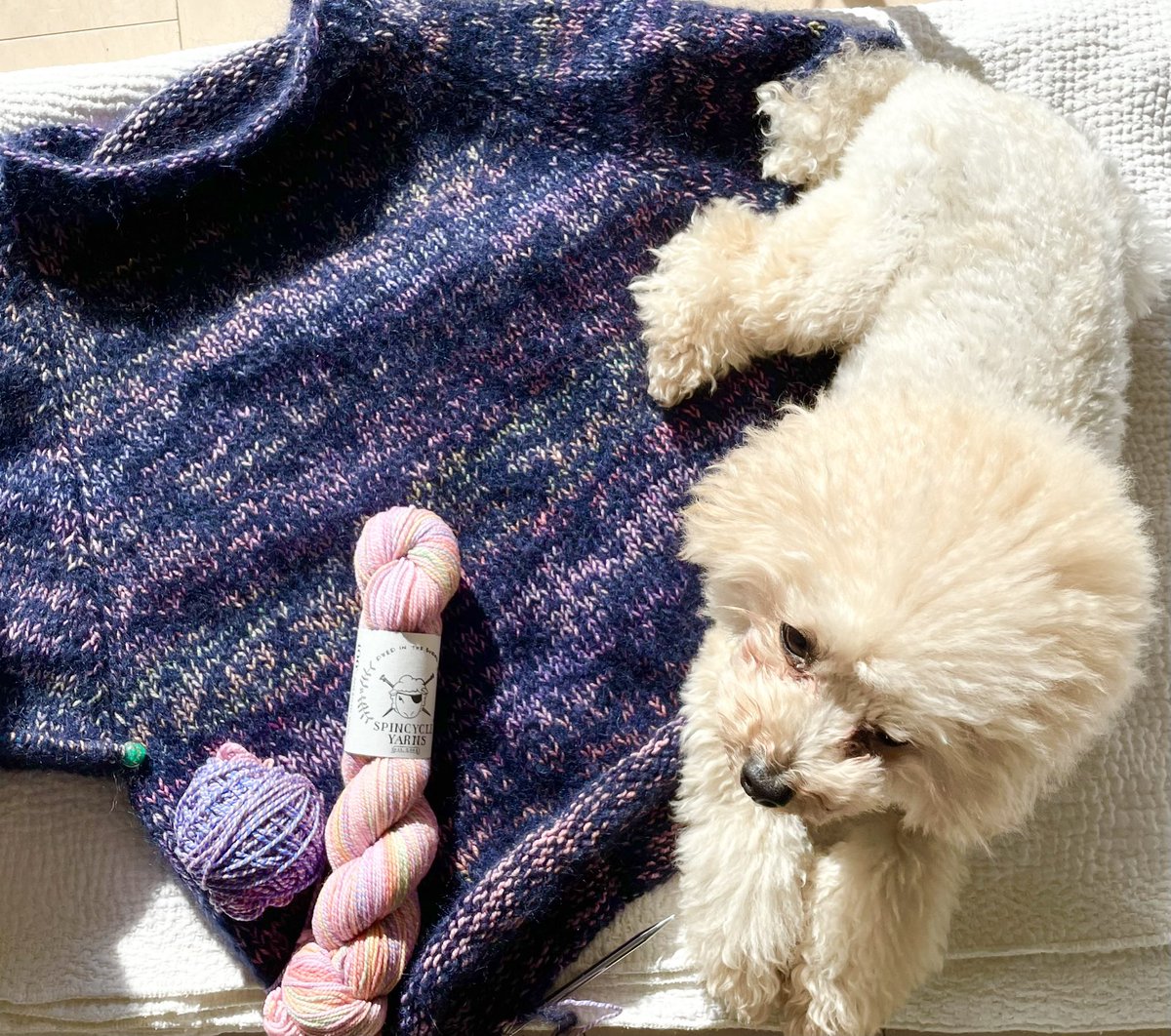 eri3eri3eri3's tweet photo. #largosweater 

ここまできてやっぱり#spincycledyedinthewool が足りないこと確信‼️😱

本家もSold Out。
海外の毛糸屋さんから買うしかないかなぁ🙃
#spincycledyedinthewool 
Colorway: midsummer
余り糸お持ちの方大募集🤣🤣🤣‼️

袖からまずは編むべきですね💦 https://t.co/vU1iegrSx7