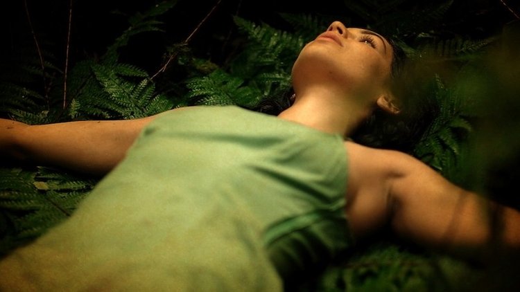 KISSING GAIA,

A short experimental film about the wild harvest and ecstatic consumption of a sacred psychedelic cactus. Shot in Ecuador under the influence of San Pedro.