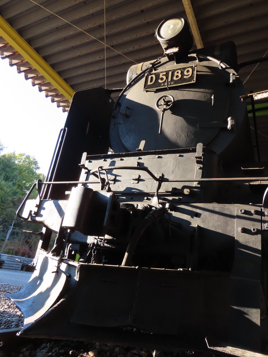 rinrin_teru's tweet photo. のんほいパークにて���
汽車🚂
2021.11.13📸
#のんほいパーク 
#豊橋動物園
#汽車
#D5189
#Canon
#PowerShotSX70HS https://t.co/M4wTYSPjZm
