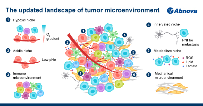Abnova1's tweet photo. 【The updated landscape of tumor microenvironment】
 If you’re interested in the following topics, don’t miss out on our latest e-newspaper.
➊ Characteristics of the six TME
➋ Nanomedicine delivery approaches modulating the CAFs
Read more
➠ https://t.co/z3sBj2ubz6 https://t.co/EA4M0buFgE