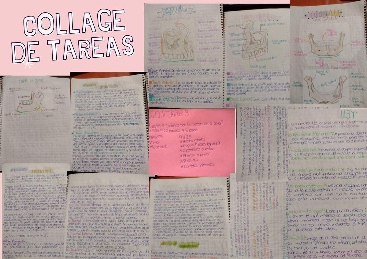 FernandaT201904's tweet photo. Collage de todas las tareas
#Exodoncia
@MariselaPonce7 https://t.co/Q0Lul7dOCP