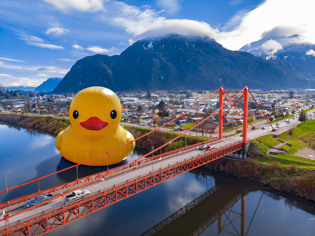 robertoaysen's tweet photo. La postal que se perdió el #PatoDeHule #PatoDeGoma 🤣🤣🤣 #PuertoAysén #Patagonia #RíoAysén #PuenteIbáñez https://t.co/eZTJO6yIxf