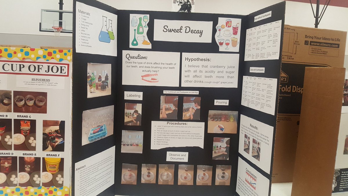 rruiz9900's tweet photo. We have amazing Scientists at HMS.  They did amazing at the science fair today!! #HMSHAWKSTRONG #weareclintisd https://t.co/23sk9pha0A