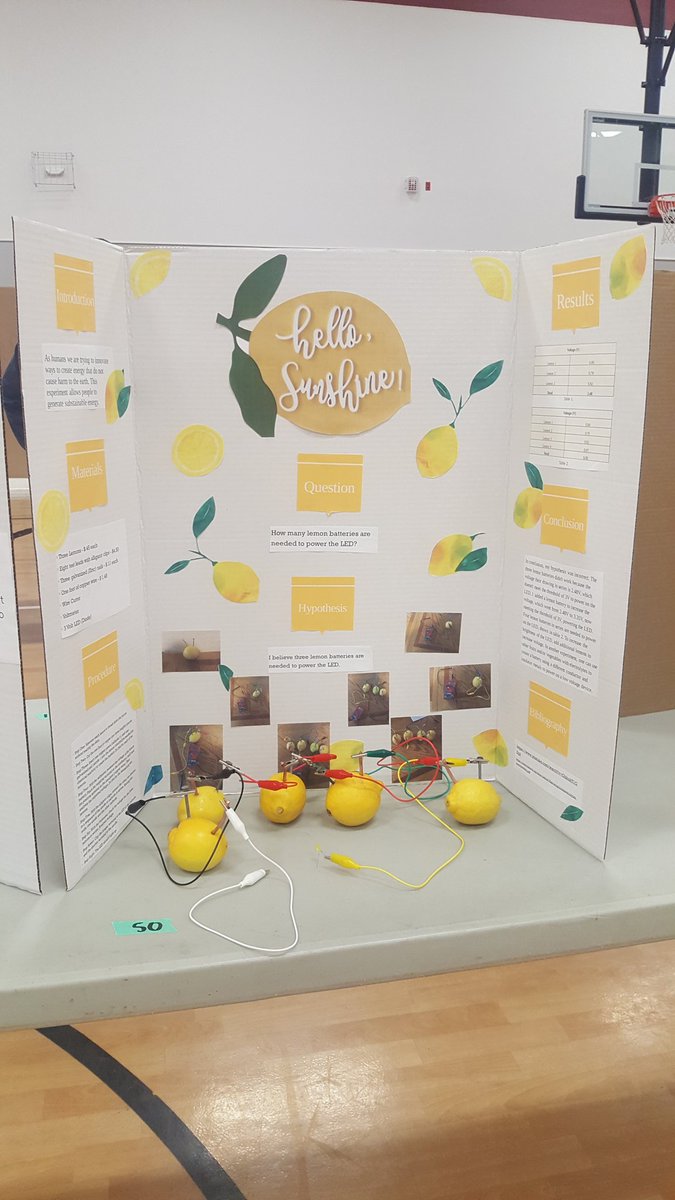 rruiz9900's tweet photo. We have amazing Scientists at HMS.  They did amazing at the science fair today!! #HMSHAWKSTRONG #weareclintisd https://t.co/23sk9pha0A