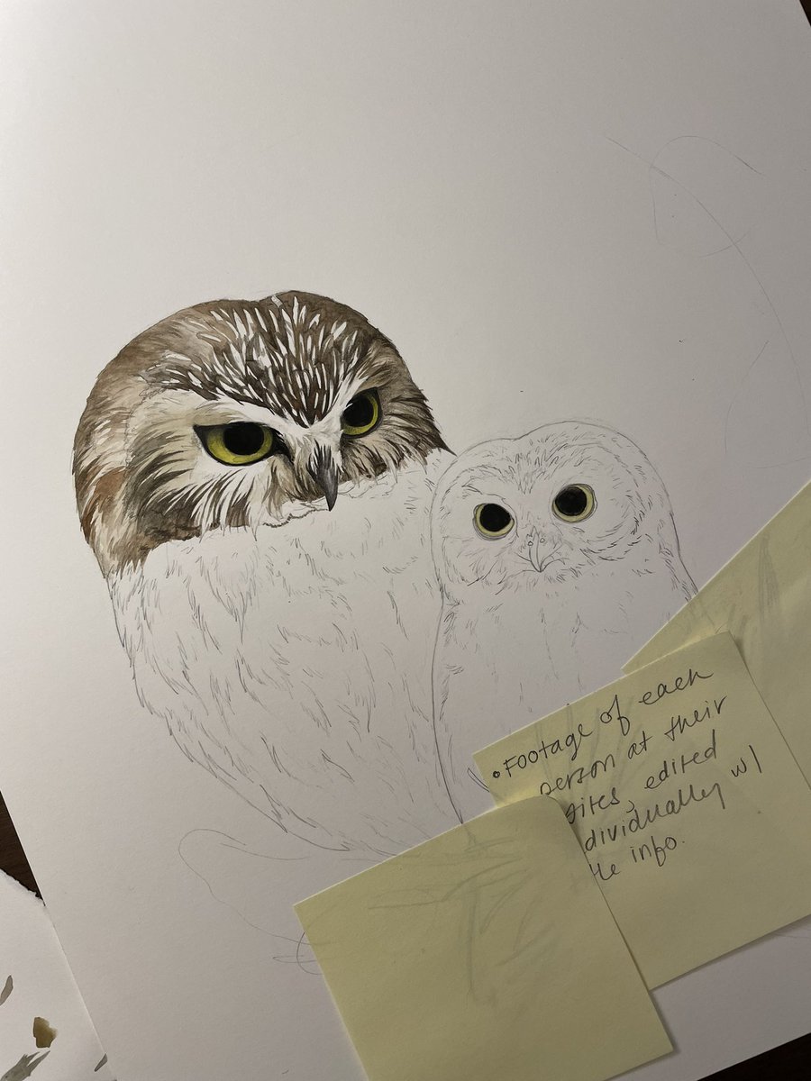 EmilyPhoenixArt's tweet photo. 😴 omg early December makes me so sleepy. #wip #sawwhetowl #watercolor https://t.co/xF6tNUQjGI