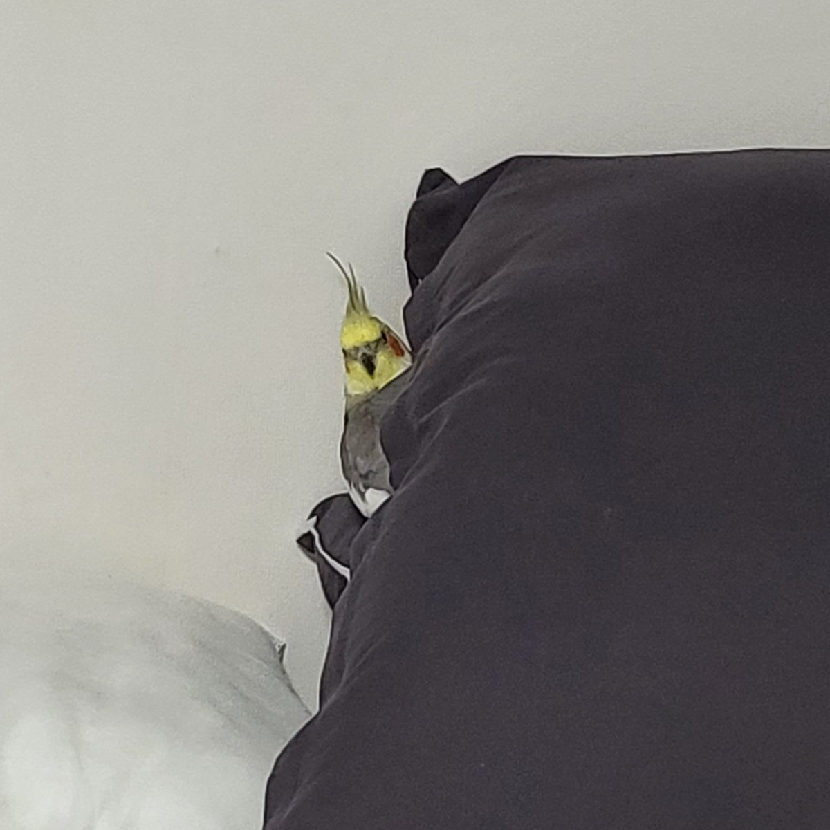 갤러리에 저희 아가들 예쁘고 귀여운 사진 많은데... 여유 한 점 없는 현생이 너무 짱나요😡