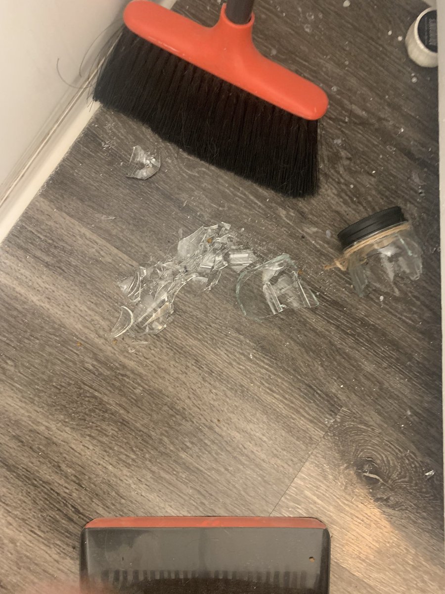 dancetilldwn's tweet photo. 5 min into a meeting today I hear glass shatter in the other room…. Hey cats… this is why we can’t have nice things!!! #AssholeCats https://t.co/gp2ADn0p4c