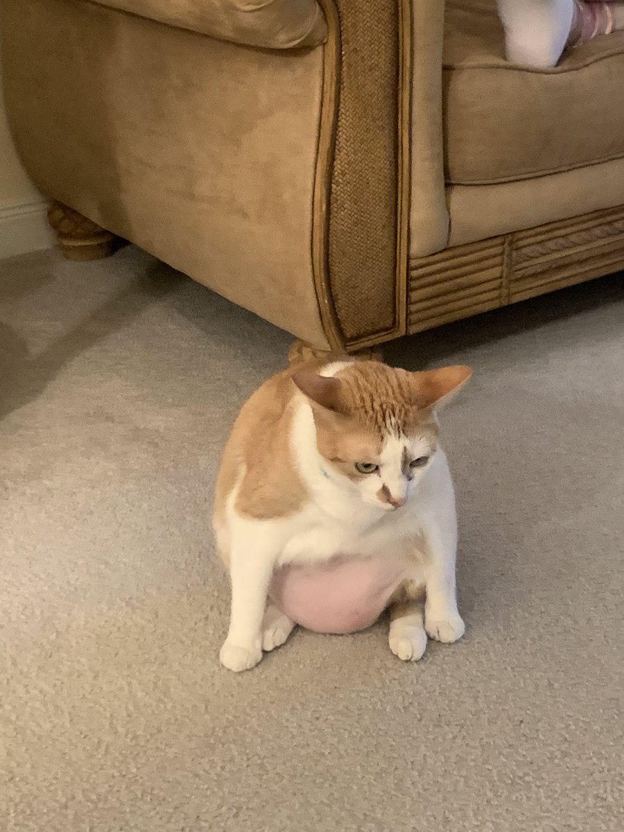 Lana Sell Red tweet media