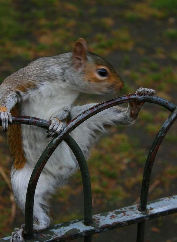 Agatha Chocolats tweet media