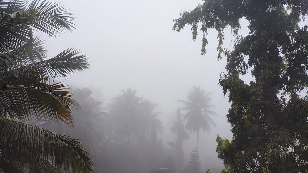 sandeepapte's tweet photo. Pune right now! 
December Dhuan! 
View from my window! 🌴☁️👌🙏 :-) https://t.co/oDZ8sbc5He