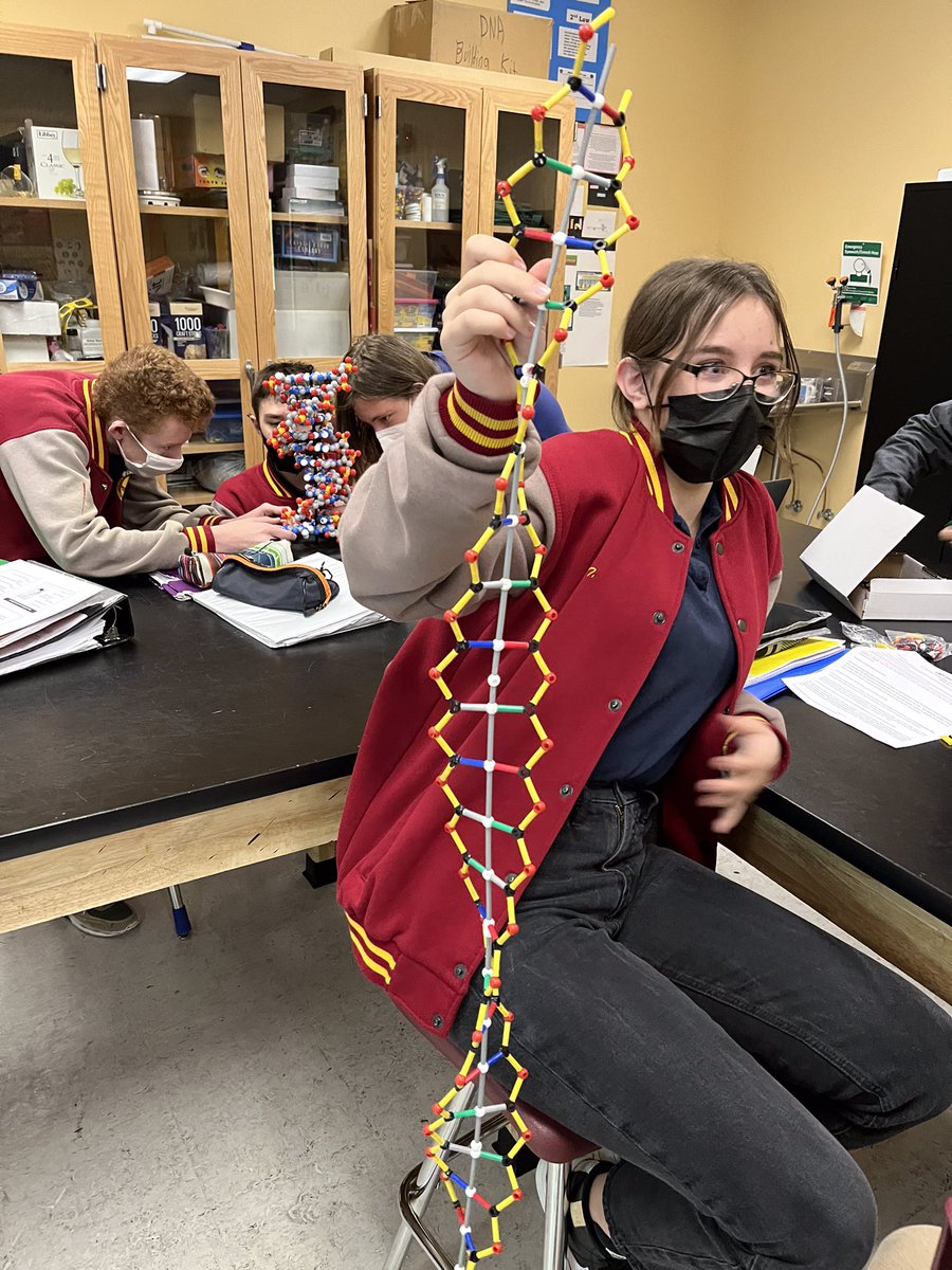 beglisapayev's tweet photo. #PLTW #Biomedical 
This kids are amazing. 3D structure of DNA model. https://t.co/oeMgxbl4Ke