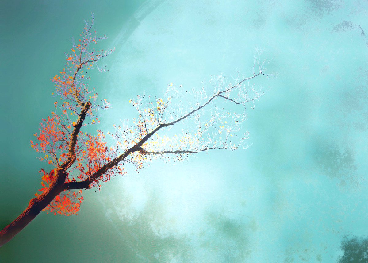 Karen Reivich tweet media